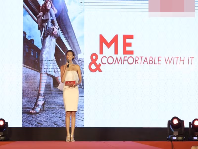 Phương Mai làm MC cho nhiều sự kiện, hội nghị về đầu tư kinh tế được tổ chức bởi các doanh nghiệp của Mỹ và các nước châu Âu. Ảnh: FBNV