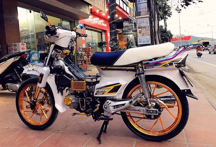 Một chi tiết thường xuyên xuất hiện trên các bản độ Dream kiểng là cặp gác chân "giò gà" Wave Nice cũng có mặt trên chiếc xe này. Bộ gắp nhôm Golden Dragon thay cho gắp nguyên bản của Dream. Trong khi đó, toàn bộ thân xe đã được chủ nhân sơn lại màu trắng và đi tem chữ Z phong cách Dream EX5 Malaysia, nhưng có một số chi tiết thiết kế lại.