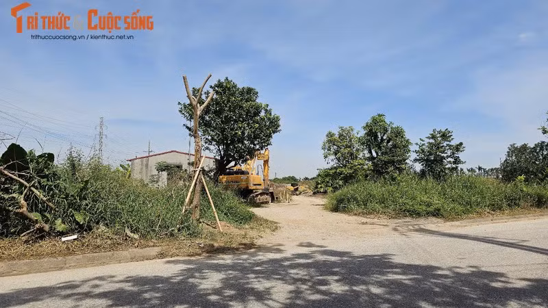 Hải Dương yêu cầu báo cáo kết quả xử lý các dự án chậm tiến độ Hai Duong yeu cau bao cao ket qua xu ly cac du an cham tien do