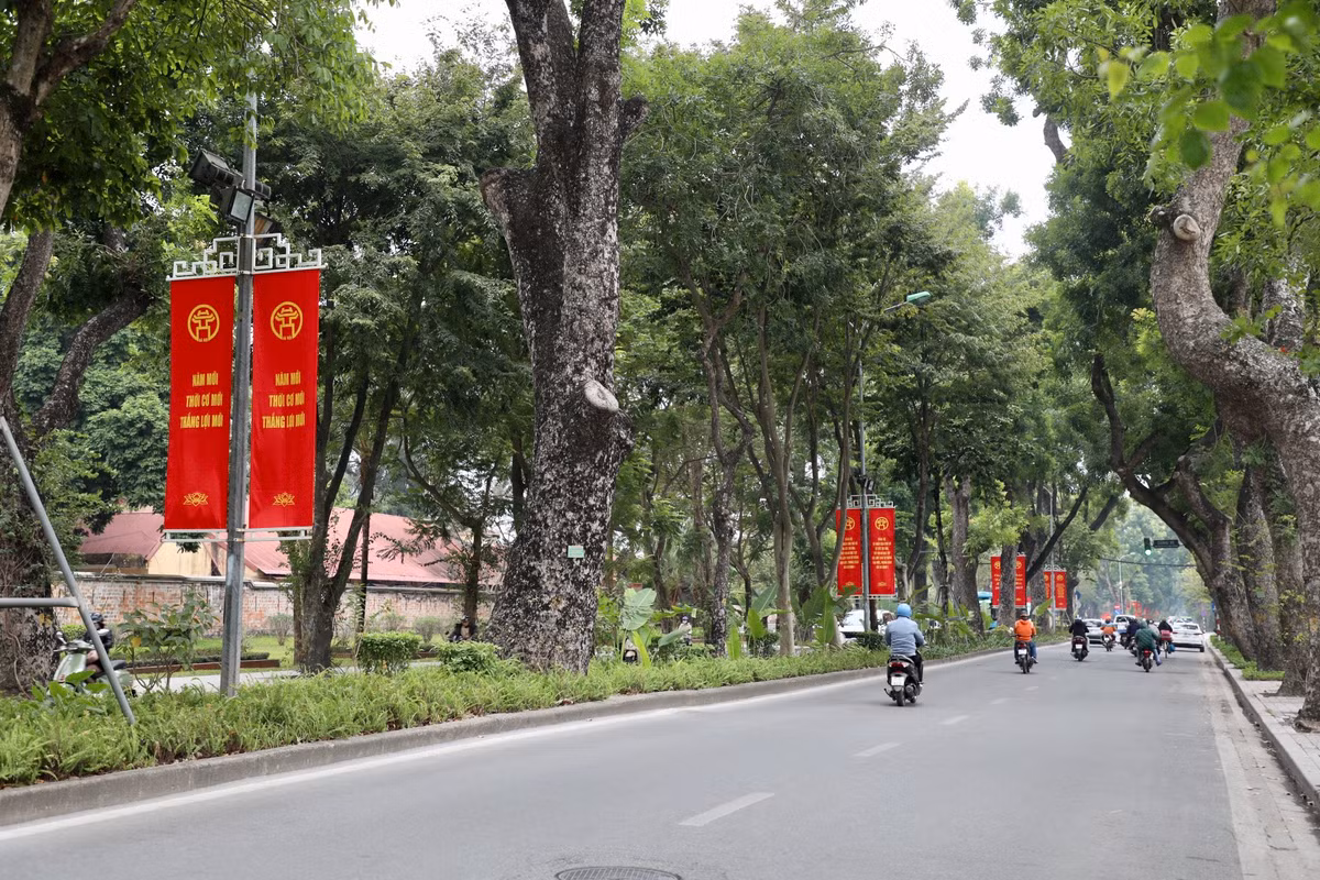 Băng rôn chúc mừng năm mới treo dọc tuyến phố Hoàng Diệu.