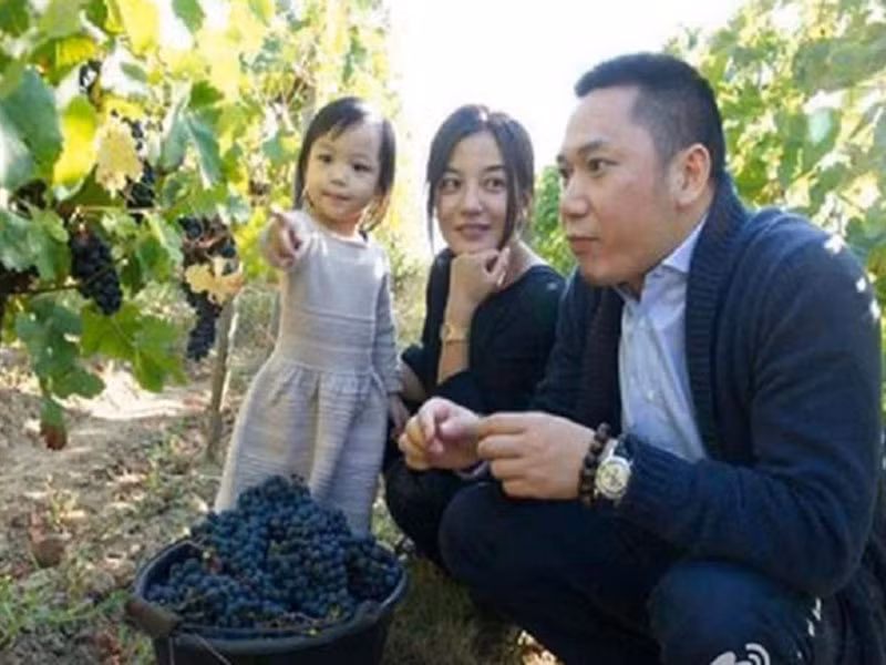 Trước khi vướng rắc rối kinh tế, Triệu Vy và Huỳnh Hữu Long là một trong cặp vợ chồng quyền lực nhất nhì làng giải trí Hoa ngữ.