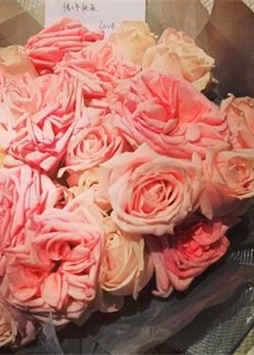 Triệu Vy không để lại bất kì dấu vết nào về chồng trên trang cá nhân.