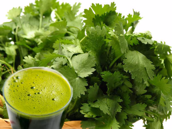 Rau mùi chứa chất chống oxy hóa: Ngoài giá trị vitamin, rau mùi còn cung cấp các hợp chất quan trọng là chất chống oxy hóa. Ảnh: Boldsky.