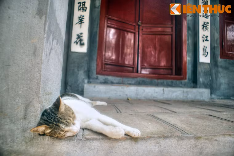 Với những giá trị lịch sử, văn hóa và kiến trúc đặc biệt, đền Ngọc Sơn cùng hồ Hoàn Kiếm đã được công nhận là di tích quốc gia đặc biệt của Việt Nam vào năm 2013.