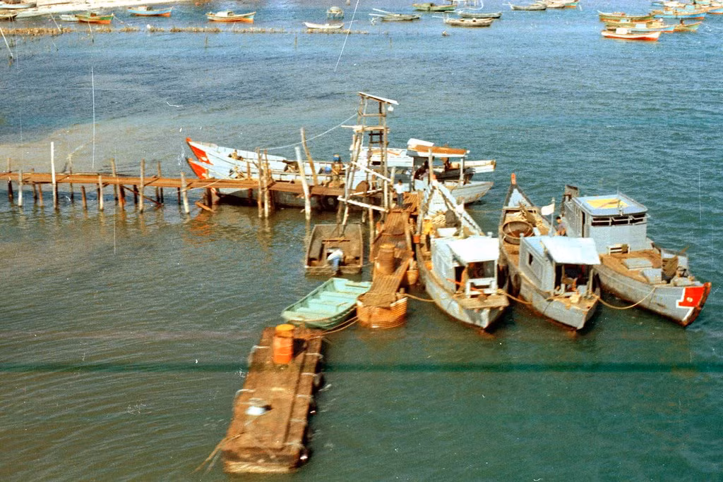 Thuyền đánh cá neo đậu tại một cầu tàu ở Phù Cát.
