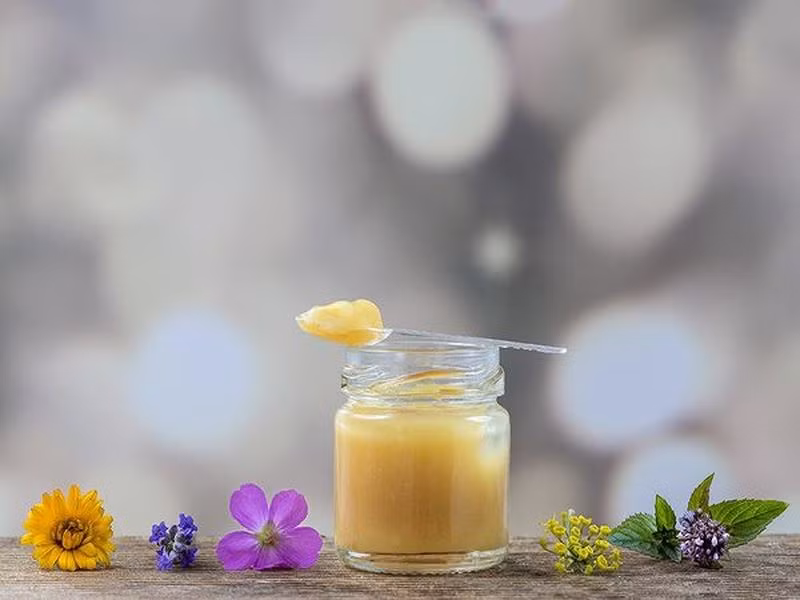 10 lợi ích sức khỏe ít được biết đến của sữa ong chúa 10 loi ich suc khoe it duoc biet den cua sua ong chua