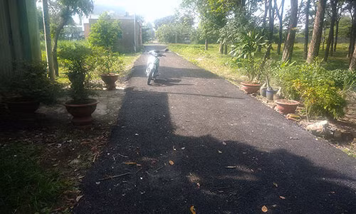 Đây là con đường “nổi tiếng” nhất xã Tân Thạnh Đông, huyện Củ Chi, TP.HCM. Ảnh: CTV