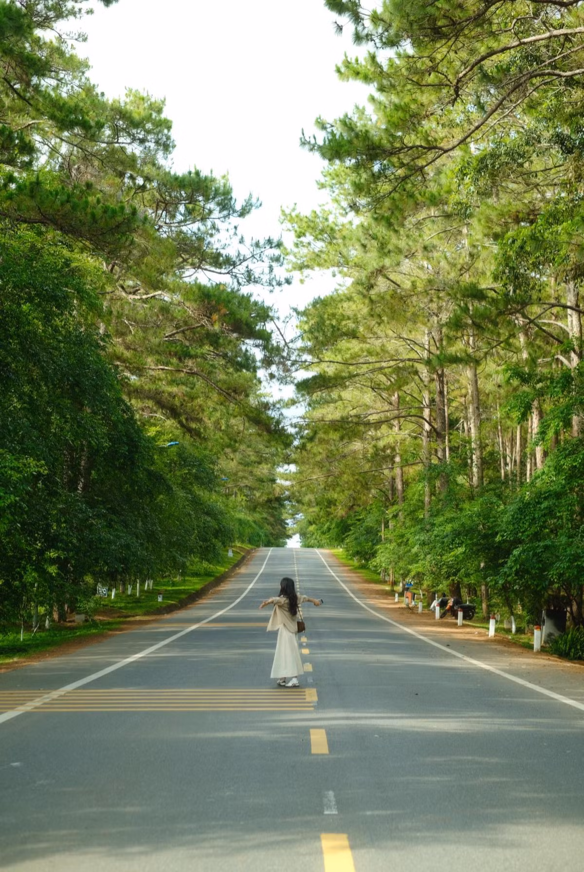 Rừng thông Măng Đen: Không khí trong lành, mát mẻ của rừng thông nơi đây khiến bất cứ ai cũng muốn nán lại thật lâu. Dạo bước giữa rừng vào buổi sáng hay hoàng hôn, bạn sẽ cảm nhận được sự bình yên hiếm có. Đây cũng là background "sống ảo" cực chất cho các tín đồ du lịch.