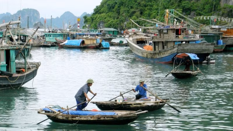 Trong những năm gần đây, du lịch sinh thái và cộng đồng tại Cửa Vạn đang được thúc đẩy theo hướng bền vững. Các tour du lịch không chỉ giới thiệu cảnh quan mà còn giúp du khách hiểu hơn về văn hóa, con người, đồng thời góp phần bảo tồn giá trị truyền thống của làng chài. Ảnh Internet