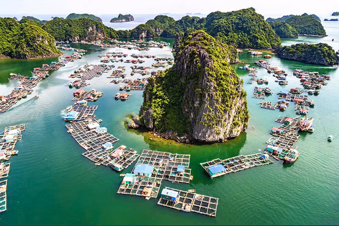 Cách thành phố Hạ Long khoảng 20km đường biển, Cửa Vạn thuộc xã Hùng Thắng, là một trong những làng chài cổ nhất Việt Nam, với lịch sử hàng trăm năm gắn bó với biển cả. Ảnh Internet