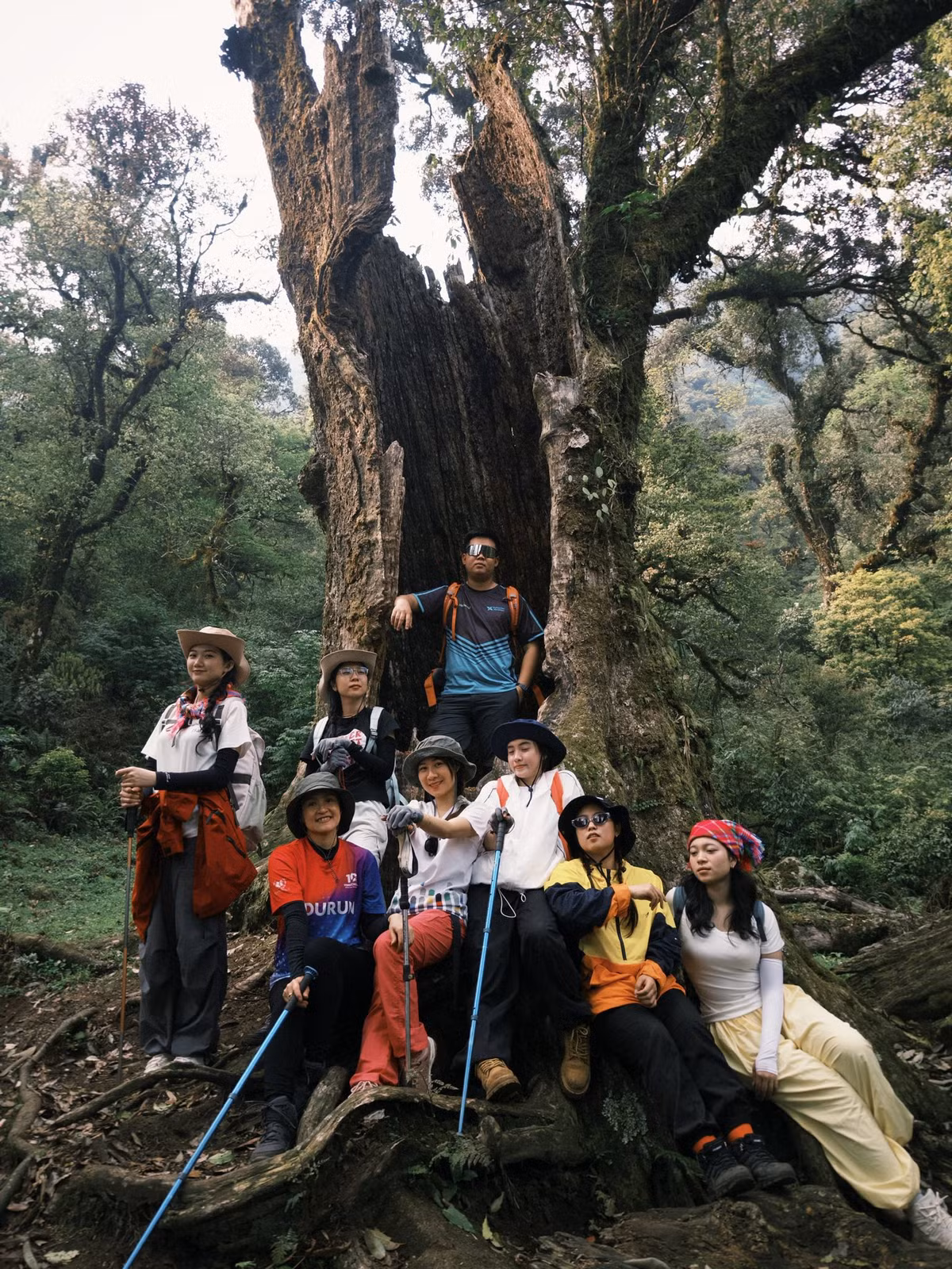 Trekking Tả Liên Sơn không đơn thuần là chinh phục một đỉnh cao, mà còn là hành trình chữa lành. Ảnh Hoàng Ba Đình