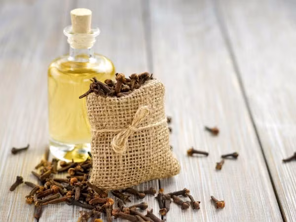 5) Dầu đinh hương: Dầu đinh hương giúp giảm đau nhanh chóng như trong trường hợp đau răng. Đối với đau cổ họng, bạn có thể trộn vài giọt dầu đinh hương với nước ấm và súc miệng. Nếu bạn đang bị đau cơ và khớp, bạn có thể massage với dầu đinh hương trên vùng bị ảnh hưởng.