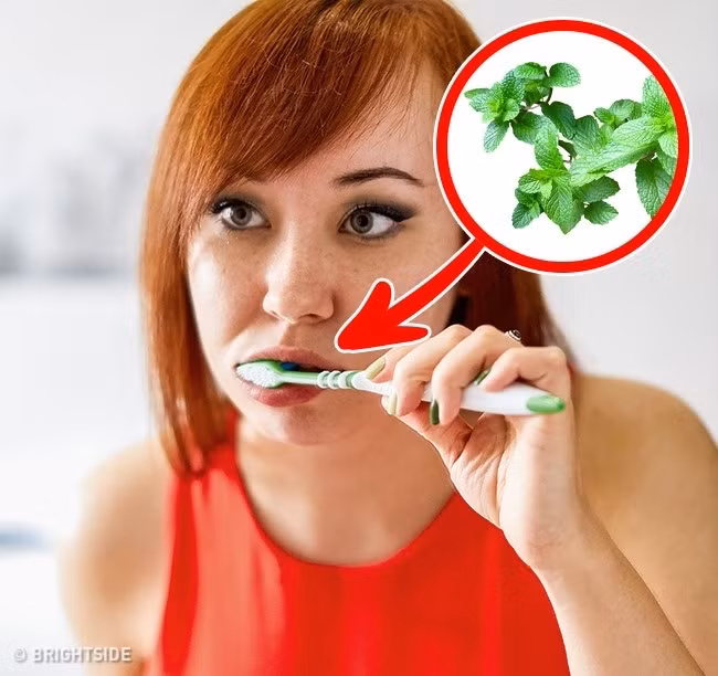 9. Đánh răng: Khi chúng ta đánh răng vào buổi tối, não nhận được một tín hiệu rằng, "bạn đã no và không ăn thêm gì nữa trong ngày hôm nay!". Hơn nữa, hương vị của bạc hà của kem đánh răng còn giúp làm giảm vị giác của bạn đối bữa ăn nhẹ ít hấp dẫn. Ảnh: Pixabay.