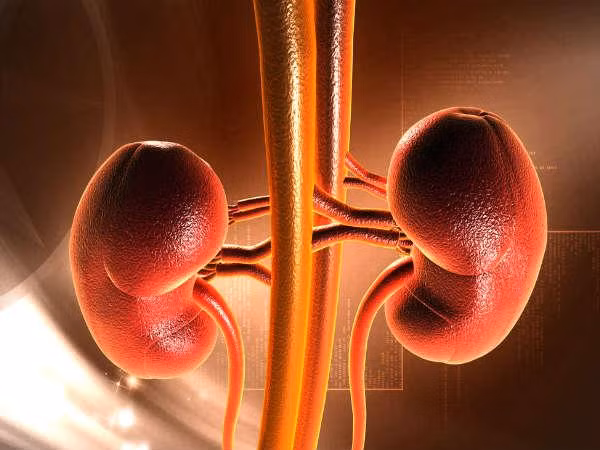 Giải độc cho thận: Các loại nước uống tự chế tạo này có khả năng loại bỏ chất độc và làm sạch các chất thải từ thận sau khi thận đã làm việc cả ngày. Ảnh: Boldsky.