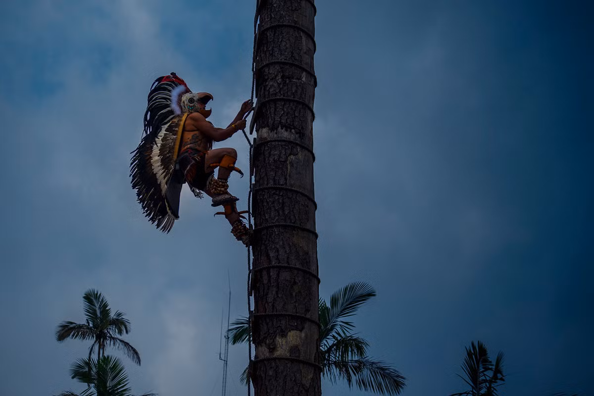 Bốn người cùng trèo lên cột và từ từ thả dây, nhảy múa trên không như những chú chim đang bay. Còn một người vẫn ngồi trên đỉnh cột chơi sáo, đánh trống và khiêu vũ. Ảnh: Al Jazeera.