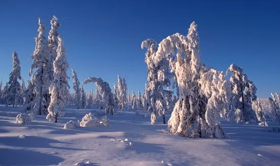 Thị trấn Verkhoyansk (Nga): Verkhoyansk là nơi đáng chú ý nhất tại Nga bởi nhiệt độ mùa đông cực thấp và nó có sự khác biệt lớn về nhiệt độ giữa mùa hè và mùa đông. -69,8 độ C là mức nhiệt thấp nhất được ghi nhận ở đây là vào tháng 2/1892. Ảnh: Wonder List.