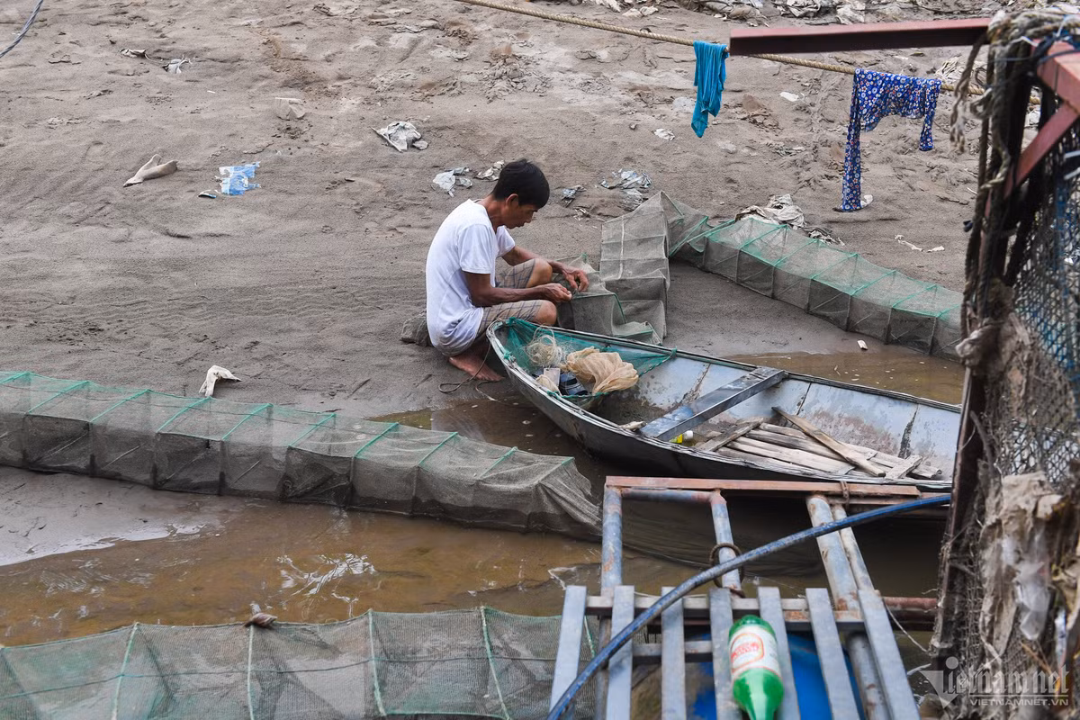 Số lượng cá tôm đánh bắt tự nhiên cũng giảm đi nhiều khi sông cạn nước. Việc di chuyển bằng đường thủy tại nhiều đoạn gặp khó khăn. Không hiếm cảnh thuyền bè mắc cạn, nằm im một chỗ.