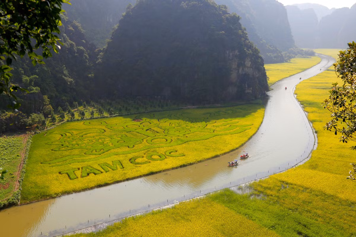 Doanh nghiệp nghìn tỷ đằng sau bức tranh “Lý ngư vọng nguyệt'' Doanh nghiep nghin ty dang sau buc tranh “Ly ngu vong nguyet''