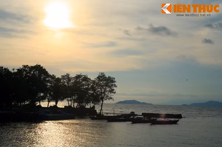 Xung quanh bãi biển là làng chài lẩn khuất dướii tán cây xanh.
