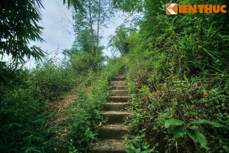 Trung tâm đề kháng Him Lam được xây dựng bởi 3 cứ điểm, trên 3 quả đồi tạo thành thế chân kiềng để dễ dàng chi viện và bảo vệ lẫn nhau. Trong mỗi cứ điểm đều có hệ thống hầm cố thủ, giao thông hào, lô cốt, trận địa chiến đấu kiên cố cùng với tầng tầng lớp lớp hàng rào dây thép gai. Dưới hàng rào là cả một bãi mìn dày đặc với khoảng cách 50 phân một quả.