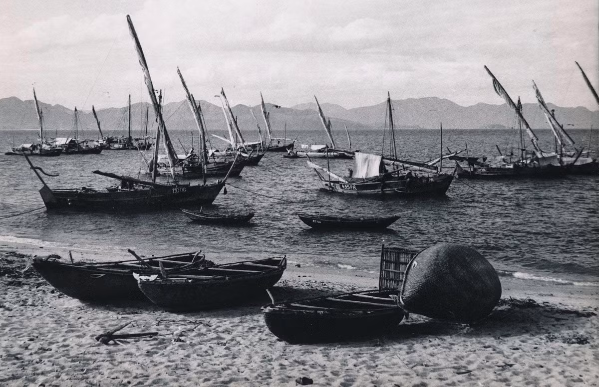 Bến cá Nha Trang.