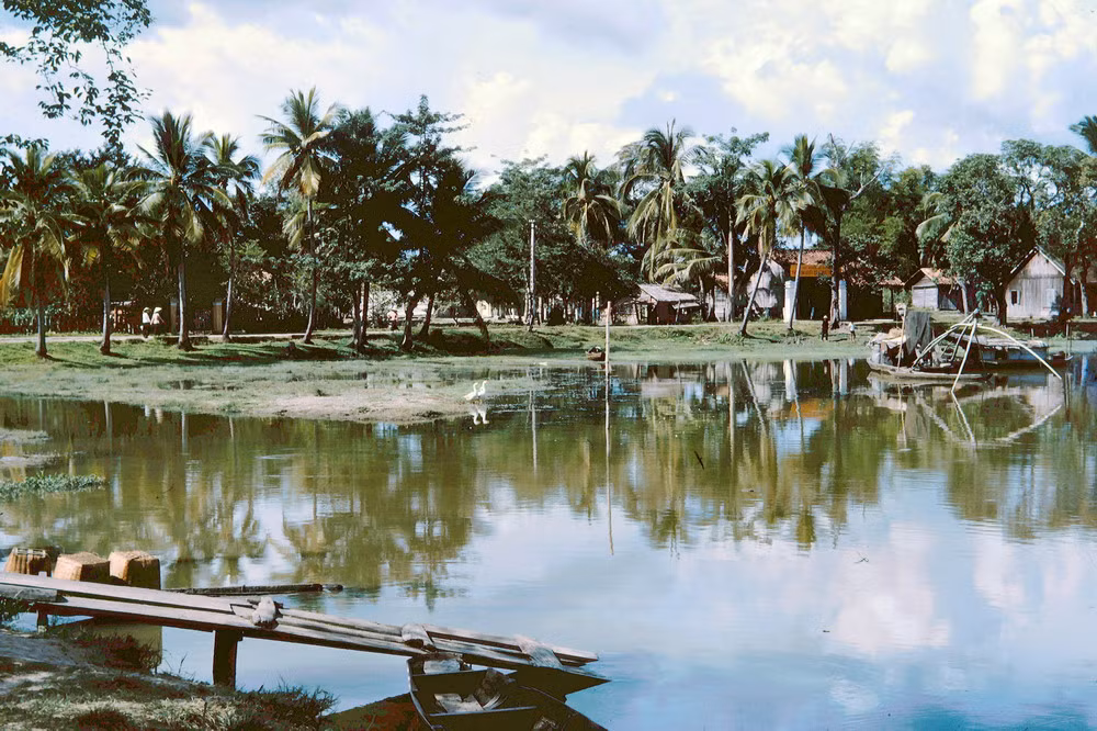 Khung cảnh thơ mộng của miền quê với những hàng dừa soi bóng xuống sông nước.