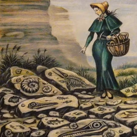 Hóa thạch của những loài động vật do Mary tìm thấy giúp giới khoa học giải mã những bí ẩn về việc tuyệt chủng của chúng. Bà cũng trở thành người phụ nữ đầu tiên có những đóng góp lớn cho ngành cổ sinh vật học.