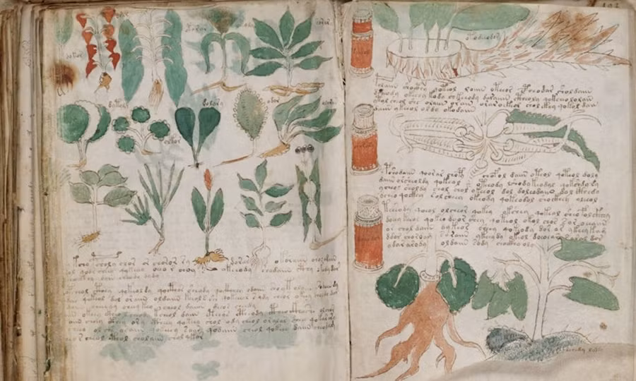 Ông Voynich là người mua nó từ một thư viện đại học ở Italy vào năm 1912. Kể từ đó, cuốn sách được thế giới biết đến khi ẩn chứa những bí ẩn khó giải.