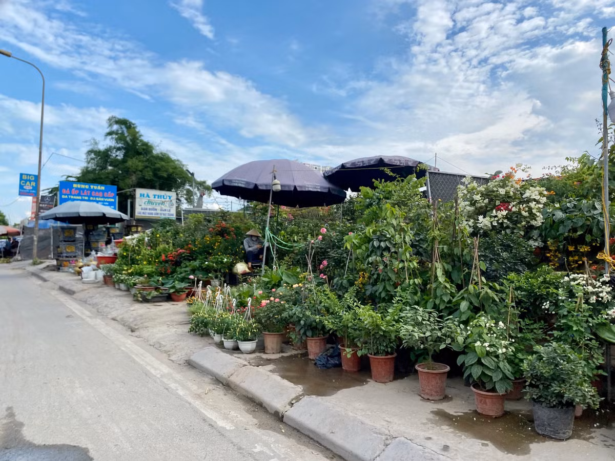 Nhiều đoạn vỉa hè bị chiếm đoạt ngang nhiên để buôn bán bình, chậu hoa, cây cảnh, vật liệu xây dựng... Được biết, những cơ sở này đã hoạt động từ nhiều năm nay, nhưng chưa được lực lượng chức năng xử lý dứt điểm.