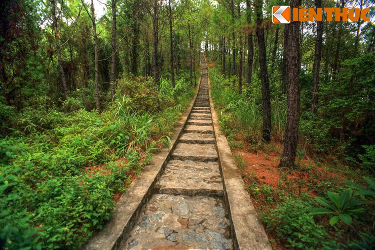 Bên trái khu đền thờ là con đường xuyên qua rừng thông dẫn lên đỉnh núi Ngũ Phong, nơi đặt tháp chuông Hòa Bình.
