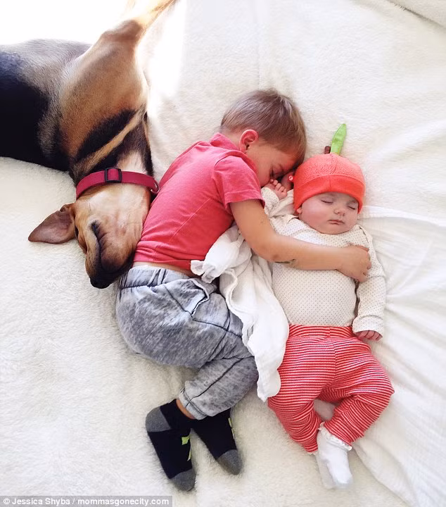 Hiện, trang Instagram cá nhân của nhiếp ảnh gia Jessica đã thu hút đến tận 505.000 lượt theo dõi, ai nấy đều ngóng chờ những bức ảnh mới nhất của cô ghi lại những khoảnh khắc đẹp đẽ giữa 2 em bé và chú chó cưng.