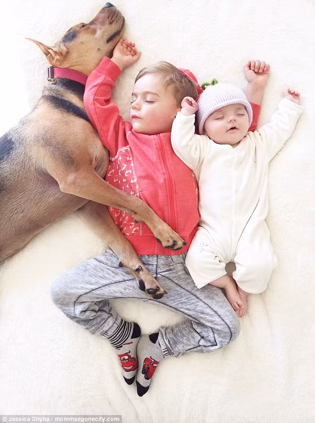 Bé Evangeline được mẹ Jessica đặt nằm cạnh anh trai và chú cún cưng Beau trong mỗi buổi ngủ trưa, để nữ nhiếp ảnh gia tha hồ sáng tác cho ra đời những tác phẩm nghệ thuật mới mẻ khác.