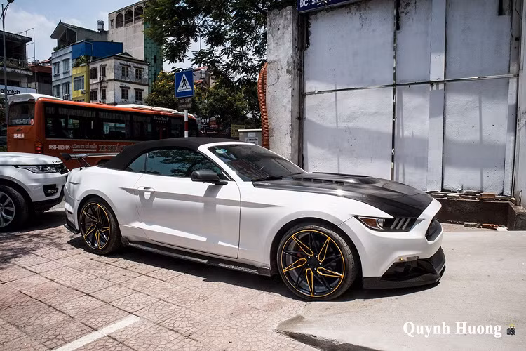 Dòng xe cơ bắp Ford Mustang không phải là dòng xe xa lạ đối với người tiêu dùng Việt Nam, dù không được phân phối chính hãng nhưng xe thường được những tín đồ đam mê tốc độ yêu thích và muốn sở hữu. Do không phải hàng chính hãng nên mỗi chiếc Ford Mustang về nước sẽ đều thông qua đại lý tư nhân với những chi tiết riêng biệt.