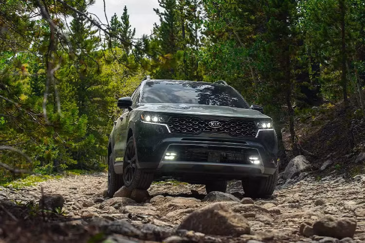 Trên phiên bản hybrid, Kia Sorento 2021 sử dụng khối động cơ GDI tăng áp 1.6 L kết hợp với động cơ điện có công suất 59 mã lực, kết hợp với hộp số tự động 6 cấp. Biến thể hybrid sử dụng hệ dẫn động cầu trước, cung cấp năng lượng cho động cơ điện thông qua bộ pin 5 kWh.