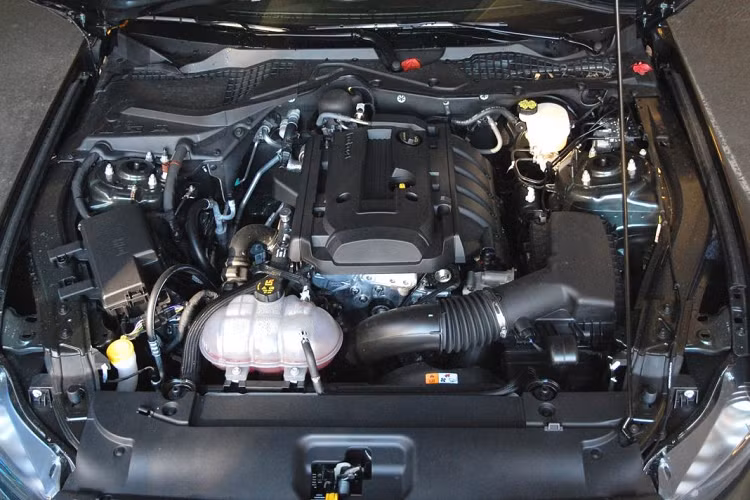 Không những thế, động cơ EcoBoost của xe còn nổi tiếng với khả năng tiết kiệm nhiên liệu của mình. Theo chia sẻ từ người dùng, chiếc xe cơ bắp này chỉ tốn khoảng tám đến mười lít nhiên liệu cho khoảng 100 km đường hỗn hợp, một con số tương đối tốt cho một dòng xe nổi tiếng “uống” xăng như Mustang. Bên cạnh những tên tuổi khác như Dodge Challenger, Mercury Cougar hay Chevy Camaro, Ford Mustang tại Việt Nam nổi bật hơn cả và có giá bán thoải mái hơn rất nhiều các đối thủ khác.