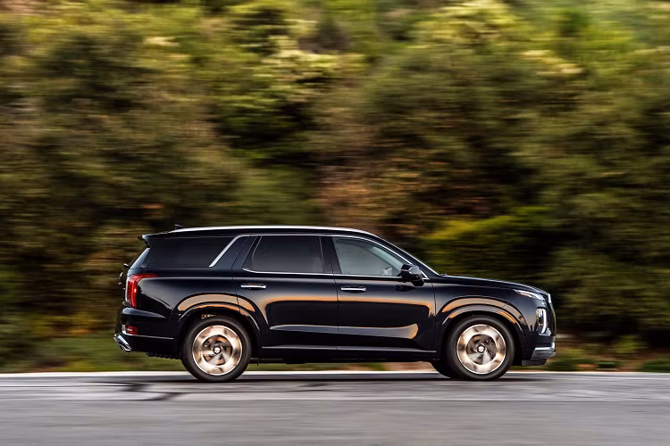 Tại thị trường Việt Nam, mẫu xe 7 chỗ Hyundai Palisade này sau nhiều thông tin đồn đoán vẫn chưa có dấu hiệu ra mắt hay mở bán. Nếu được phân phối tại nước ta, Hyundai Palisade sẽ là một lựa chọn mới cho khách hàng Việt khi có nhu cầu lựa chọn mua xe SUV cỡ trung 3 hàng ghế (mid-size SUV). Đối thủ của xe tại Việt Nam hiện chỉ có Ford Explorer.