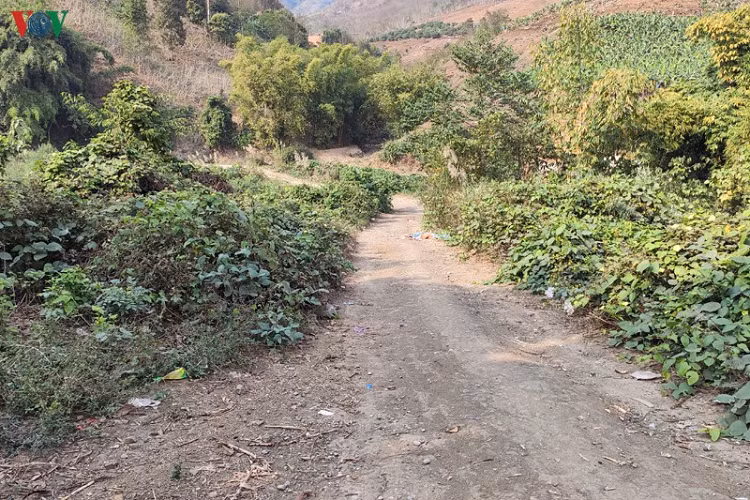 Lai Châu có hơn 265km đường biên giới với Trung Quốc và có hàng trăm đường mòn, lối ở được cư dân sinh sống hai bên biên giới mở ra và chỉ cần vài bước chân là có thể vượt biên sang nước bạn.