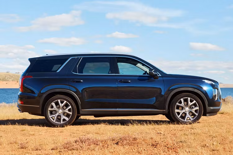 Tại thị trường Việt Nam, Hyundai Palisade đã được TC Motor nhập về trong năm nay với mục đích nghiên cứu thị trường nhưng chưa có thông báo về việc bán ra. Giá bán dự kiến tại Việt Nam cho mẫu SUV này là 1,87 tỷ đồng.