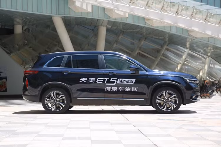 Một cổ đông lớn khác là Nanjing Jintong, một nhà sản xuất xe buýt có tiếng và cũng là đơn vị chịu trách nhiệm sản xuất các xe mang thương hiệu Skywell. Skyworth sẽ có vai trò cung cấp hệ thống kết nối và thông tin giải trí cho các xe Skywell. Hệ thống này được gọi là Skylink.