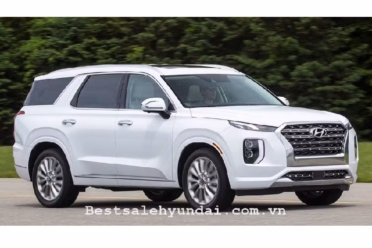 Từ đợt ra mắt lần đầu từ tháng 12/2018 nhưng Hyundai đã nhận hơn 20.000 đơn đặt hàng Palisade tại thị trường nội địa. Doanh số tích lũy xe trong năm 2019 đạt 52.299 chiếc, hơn cả Venue, Kona hay Tucson.