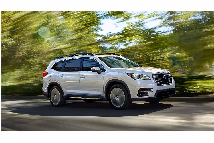 Sau khi được bán ra tại thị trường Việt, Subaru Ascent 2020 mới sẽ cạnh tranh trực tiếp với Ford Explorer quen thuộc hay Hyundai Palisade sắp tới sẽ được phân phối. Tại thị trường Bắc Mỹ, Subaru Ascent là đối trọng cạnh tranh trực tiếp với Toyota Highlander, Honda Pilot, Mazda CX-9, Hyundai Palisade hay Kia Telluride.