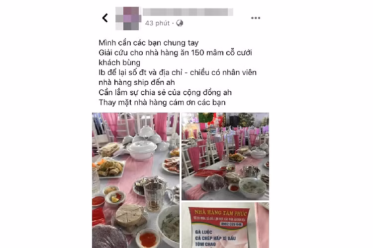 Ngoai hon 150 mam co, 'co dau' o Dien Bien con bi nha hang to tung dat 156kg ga, 40kg gio, 180 dia mia trang mieng va cung chua tra tien