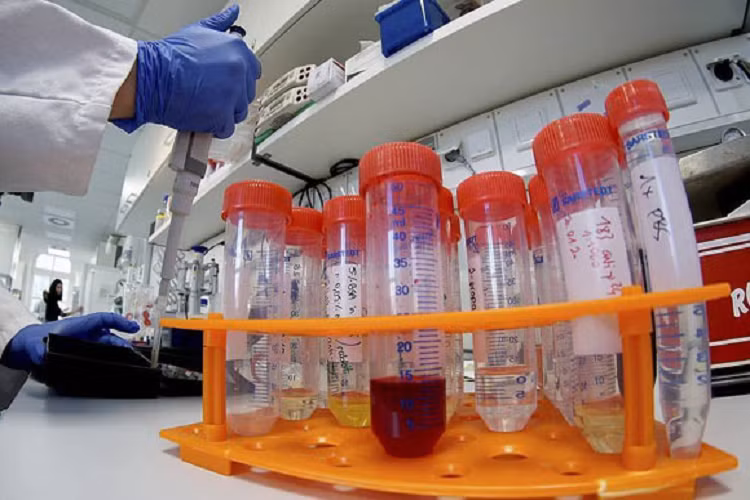 DSQ Viet Nam tai Trung Quoc: Chua ghi nhan co luu hoc sinh nhiem virus corona