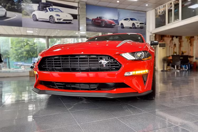 Là một chiếc xe thuộc phiên bản đặc biệt, do đó, Ford Mustang 2020 mới phiên bản High Performance sở hữu rất nhiều trang bị được nhà sản xuất tinh chỉnh, bao gồm cả về trang bị tiện nghi, thẩm mỹ và đặc biệt là về sức mạnh.