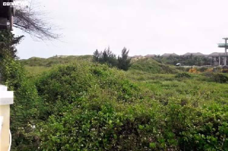 Theo cáo trạng, từ năm 2006 đến 2014, Trần Văn Minh (khi đó là Chủ tịch TP. Đà Nẵng) và Văn Hữu Chiến (khi đó là Phó Chủ tịch TP. Đà Nẵng) cố ý làm trái các quy định về quản lý, sử dụng tài sản Nhà nước, về quản lý đất đai, tạo điều kiện cho Phan Văn Anh Vũ trục lợi cá nhân trong việc mua bán, chuyển nhượng các nhà đất công sản và dự án. Các ông Trần Văn Minh, Nguyễn Ngọc Tuấn, Phan Xuân Ít... cố ý làm trái quy định pháp luật khi giao đất dự án này, gây thiệt hại cho ngân sách Nhà nước hơn 435 tỷ đồng. 