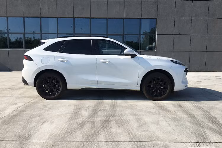 Đằng sau mẫu SUV Trung Quốc này xuất hiện cụm đèn hậu nối liền với nhau, gợi liên tưởng đến xe Porsche Macan. Ngay bên dưới cụm đèn hậu này là tem chữ nổi "Forthing" - tên tiếng Anh của thương hiệu Fengxing. Ngoài ra, xe còn có 4 ống xả được chia đều sang hai bên cản sau.