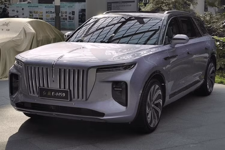 Như được biết, Hồng Kỳ E-HS9 chạy điện là phiên bản sản xuất hàng loạt của concept E115 mà đã ra mắt tại thị trường nội địa lẫn quốc tế thông qua Triển lãm Ô tô Frankfurt và Triển lãm Ô tô Thành Đô trong lần lượt tháng 9 và tháng 11 năm 2019. Sau khi chính thức bán ra thị trường, nó sẽ trở thành mẫu SUV đắt giá nhất của thương hiệu Hồng Kỳ hiện tại.