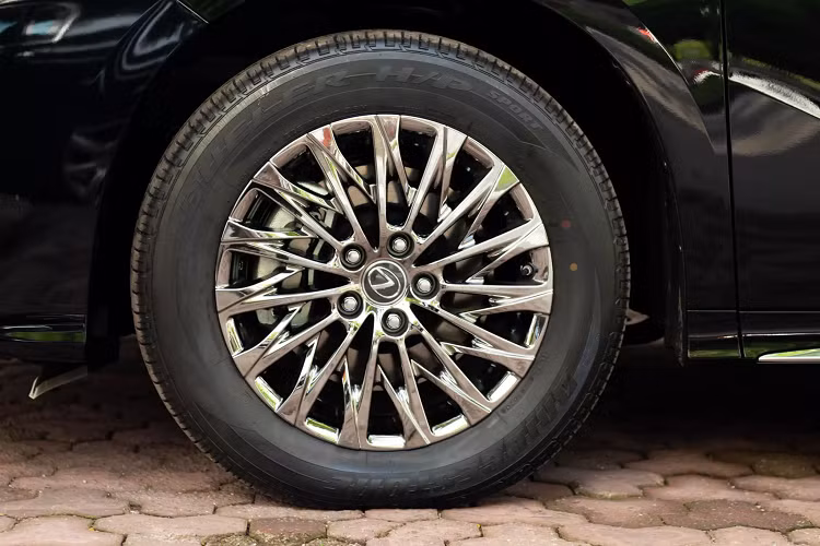 Giới nhà giàu Việt hay châu Á nói chung thường lựa chọn xe SUV và sedan hạng sang cỡ lớn để di chuyển, tuy nhiên vẫn nhóm nhóm khách hàng ưa thích xe minivan/MPV cao cấp vì sự thoải mái, rộng rãi.