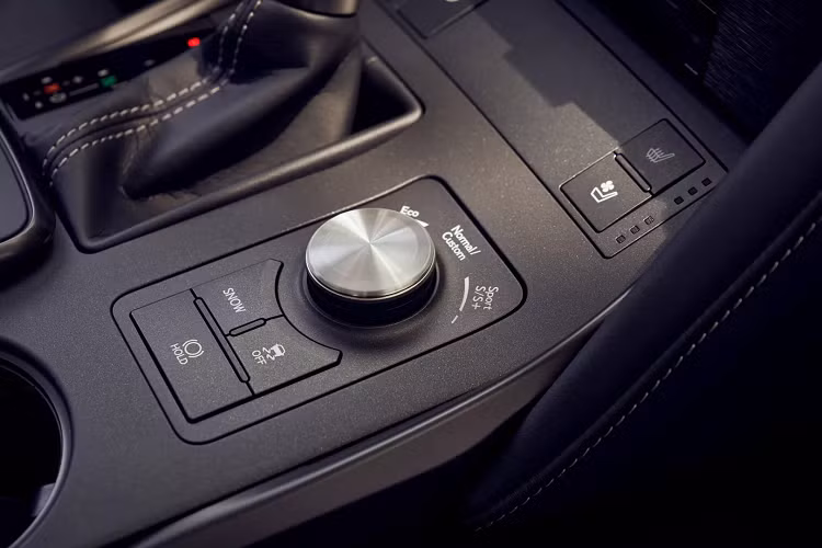 Bên trong cabin, Lexus IS 350 F Sport sở hữu các trang bị tiêu chuẩn bổ sung bao gồm vô-lăng thể thao có sưởi và cụm đồng hồ kỹ thuật số lấy cảm hứng từ huyền thoại LFA. Người mua cũng sẽ có ghế thể thao sưởi / thông gió và các chi tiết trang trí màu đen. Đặc biệt, gói nâng cấp F Sport Dynamic Handling bổ sung hệ thống treo thích ứng, vi sai hạn chế trượt (chỉ dành cho RWD), cánh gió sau bằng sợi carbon và bánh xe BBS 19 inch với lớp sơn đen mờ. Gói trang bị này cũng cho phép cabin được trang trí bằng gỗ tần bì.