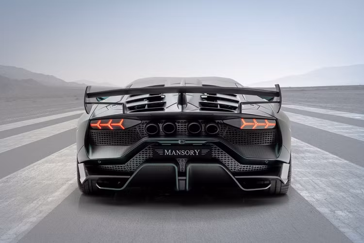 Về mặt hiệu suất, Cabrera vẫn dùng động cơ V12 hút khí tự nhiên gầm rú 6.5L của Aventador SVJ. Tuy nhiên sức mạnh đã được tăng lên mức 810 mã lực và mô-men xoắn cực đại 780 Nm, trong khi Aventador SVJ nguyên bản chỉ đạt mức 770 mã lực tại 8.500 vòng/phút và mô-men xoắn cực đại 720 Nm tại 6.750 vòng/phút. Mansory Cabrera tăng tốc 0-100 km/h trong 2,6 giây, nhanh hơn Aventador SVJ 2 giây.